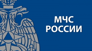 За сутки пожарные Забайкалья тушили сухую растительность 11 раз