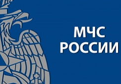 За сутки пожарные Забайкалья тушили сухую растительность 11 раз
